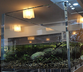 Aquarium Acrylique en PMMA Coulé Plexiglass